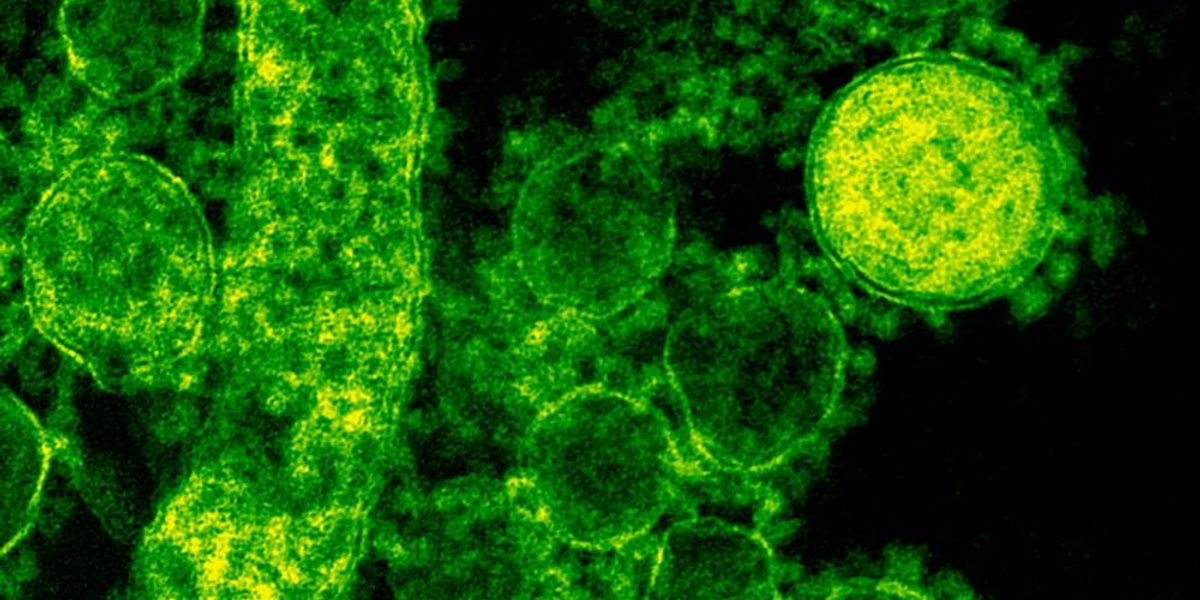 Команда QuantValue Lab